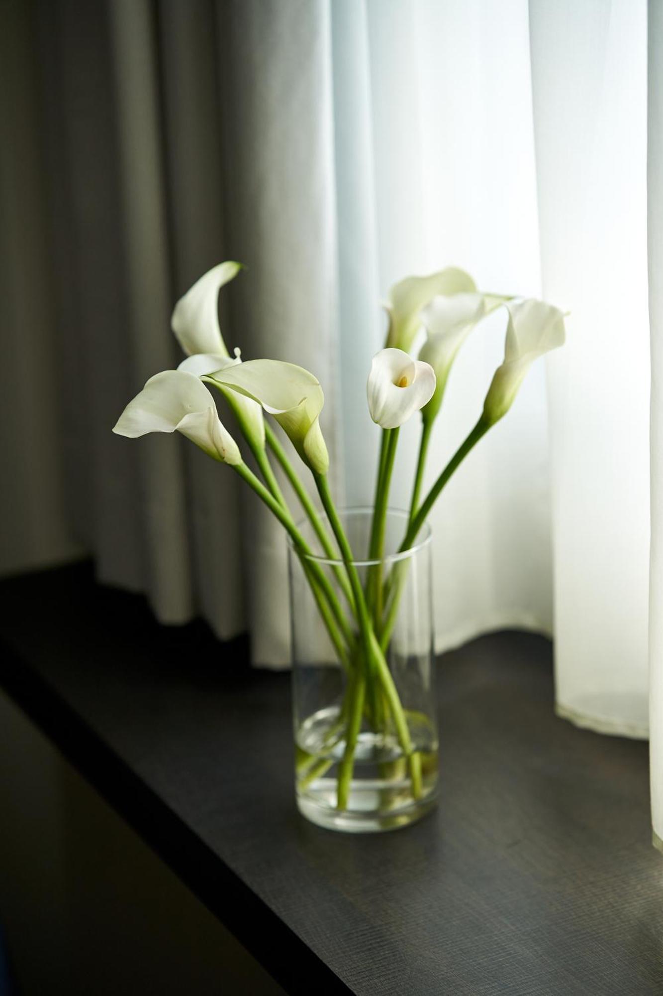 Classic Single Room